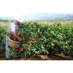 Colombia with  Coffee 2022
